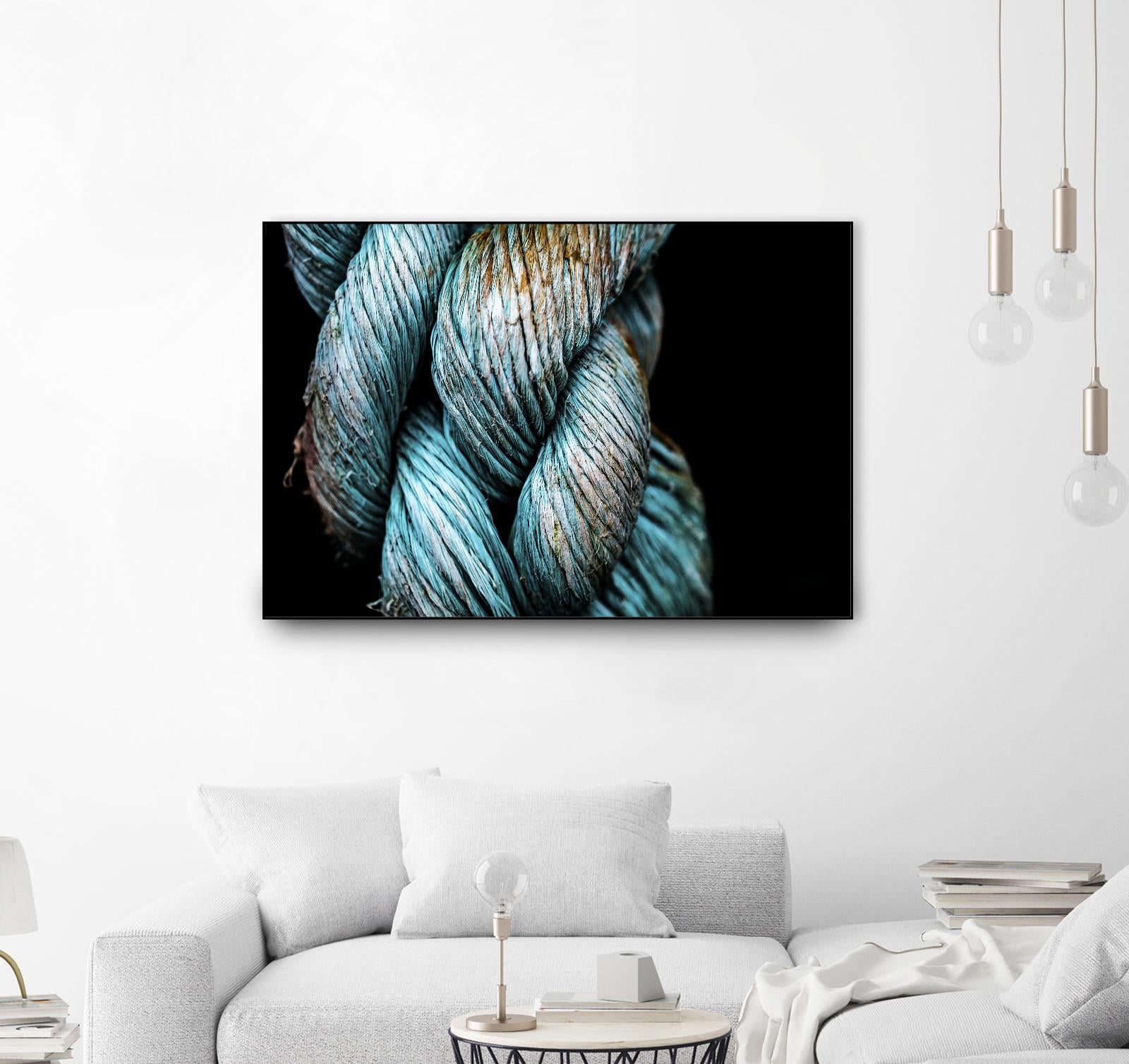 Ties that Bind by Melissa McClain on GIANT ART - black photo art