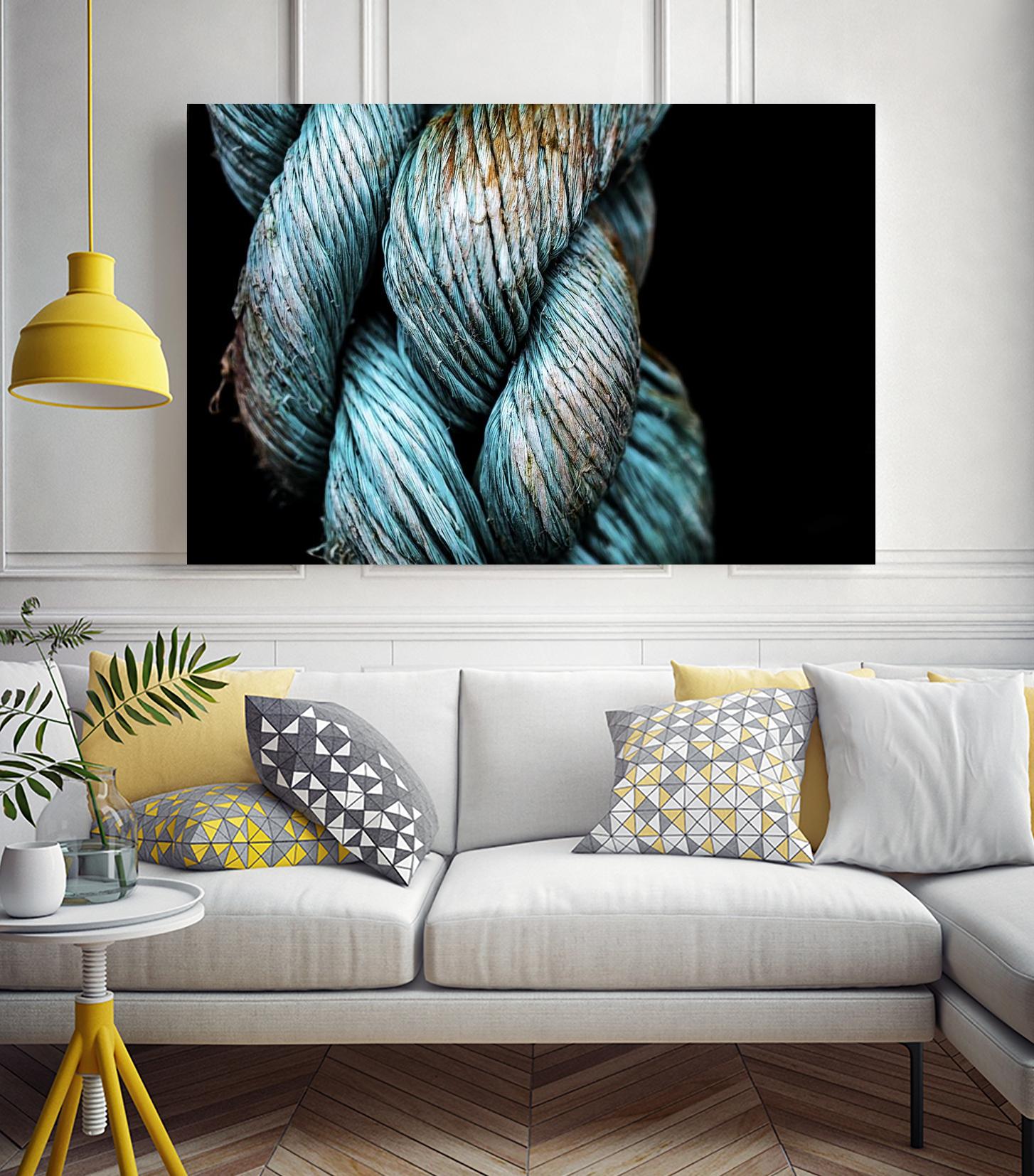 Ties that Bind by Melissa McClain on GIANT ART - black photo art