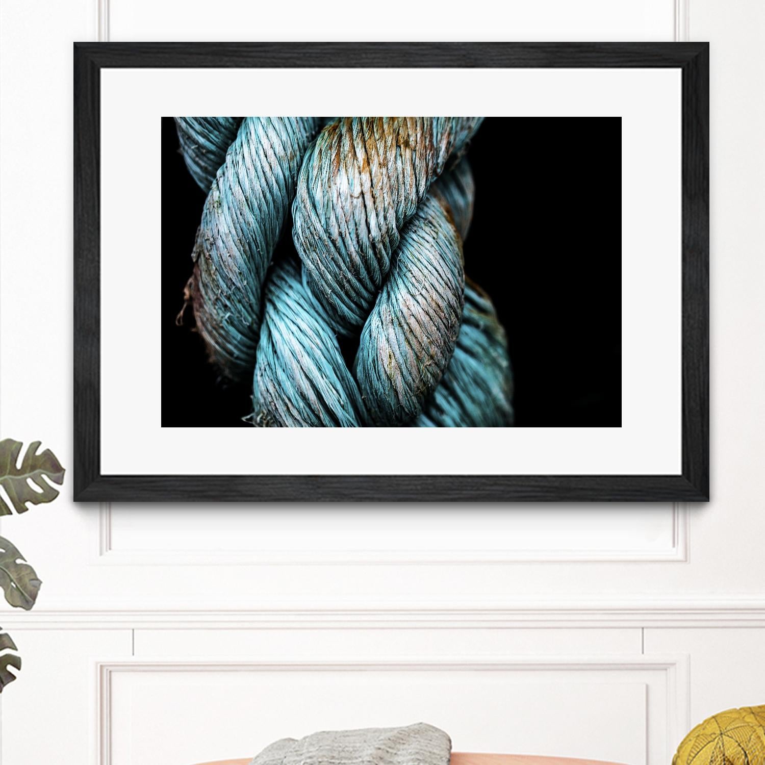 Ties that Bind by Melissa McClain on GIANT ART - black photo art