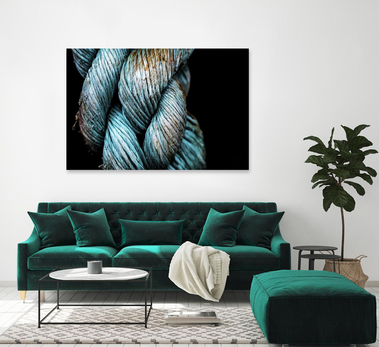 Ties that Bind by Melissa McClain on GIANT ART - black photo art