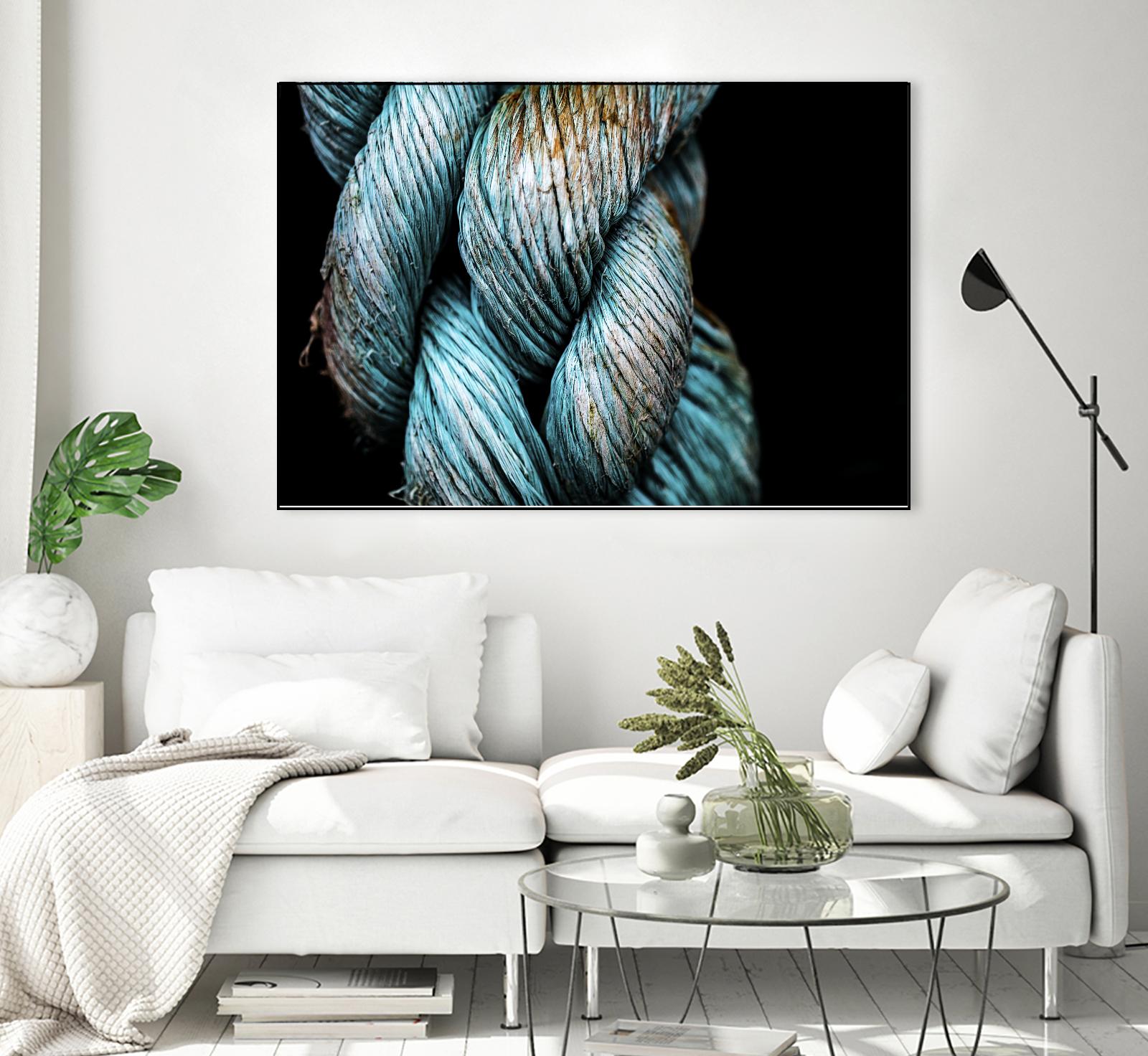 Ties that Bind by Melissa McClain on GIANT ART - black photo art