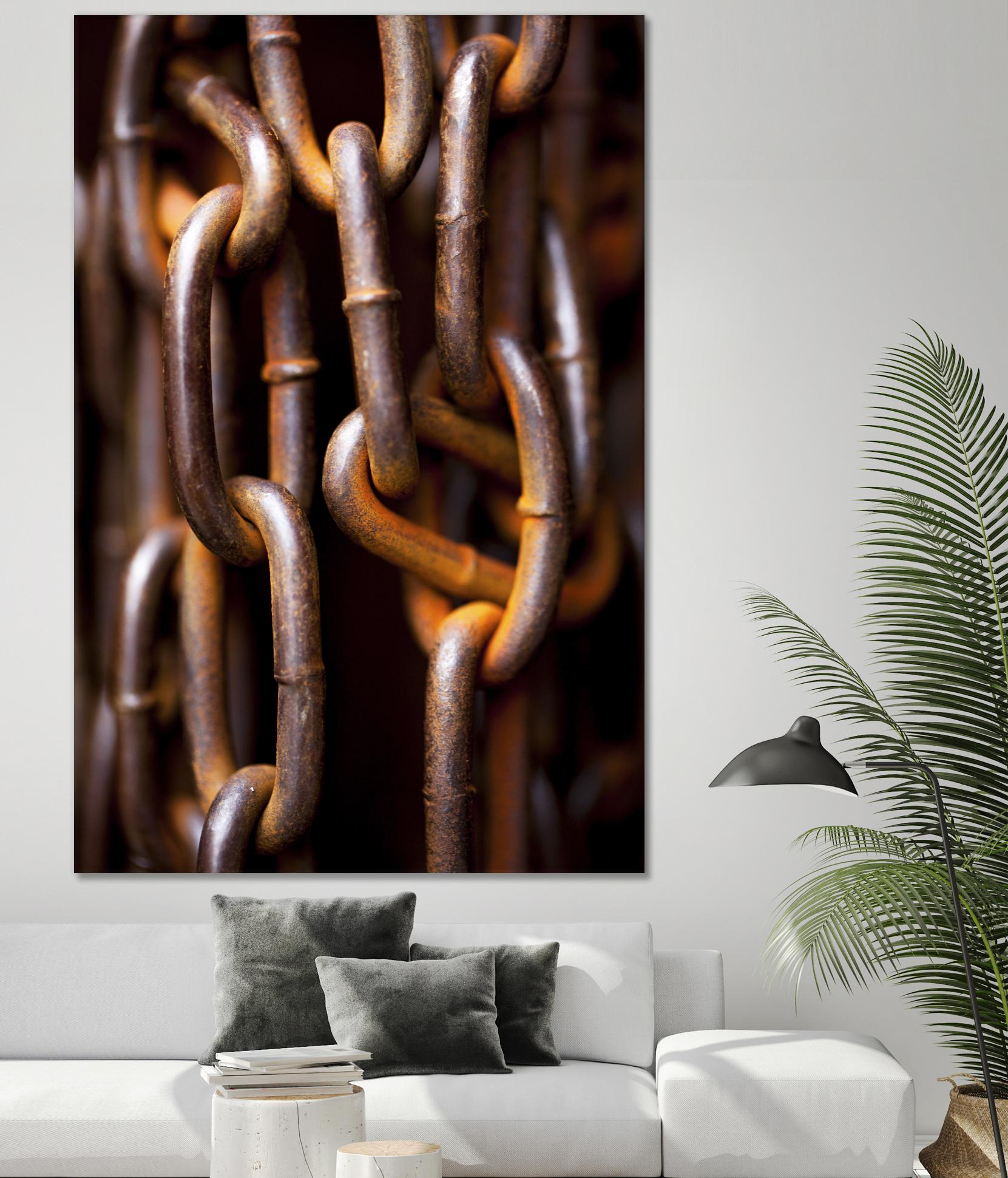 In Chains by Melissa McClain on GIANT ART - rust photo art
