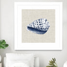 Ocean Memento II by Vision Studio on GIANT ART - blue tropical