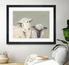 Sweet Lambs I by Jade Reynolds on GIANT ART - animals