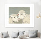 Sweet Lambs II by Jade Reynolds on GIANT ART - animals