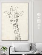 Giraffe Portrait II by Jennifer Goldberger on GIANT ART - animals