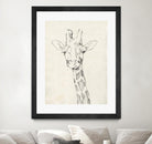 Giraffe Portrait II by Jennifer Goldberger on GIANT ART - animals