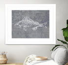 Like a Stone I by Melissa Wang on GIANT ART - animals