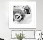 Reverse Ripple Effect I by Ethan Harper on GIANT ART - neutral abstract