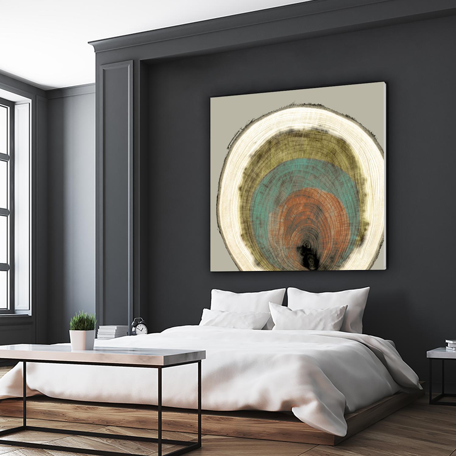 Colored Rings I by Studio W on GIANT ART - brown abstract