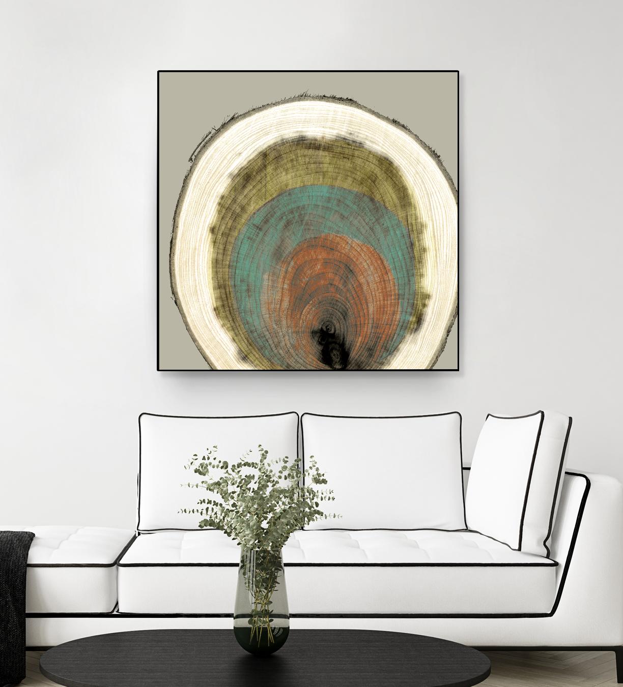 Colored Rings I by Studio W on GIANT ART - brown abstract