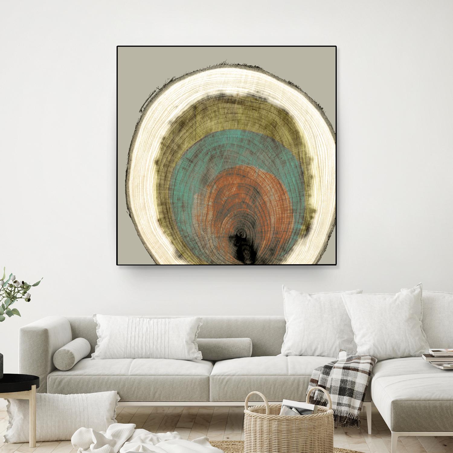 Colored Rings I by Studio W on GIANT ART - brown abstract