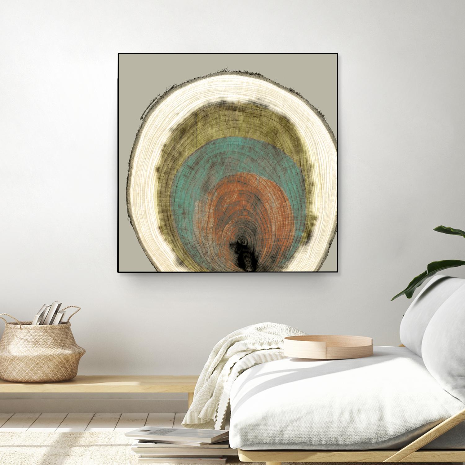 Colored Rings I by Studio W on GIANT ART - brown abstract
