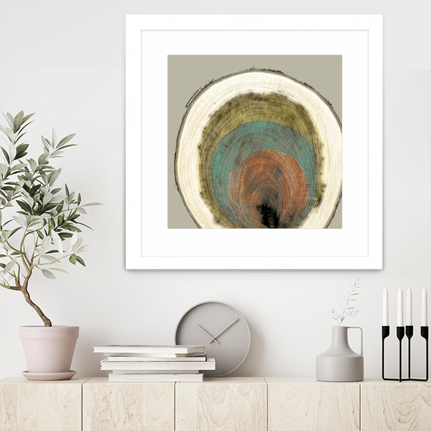 Colored Rings I by Studio W on GIANT ART - brown abstract