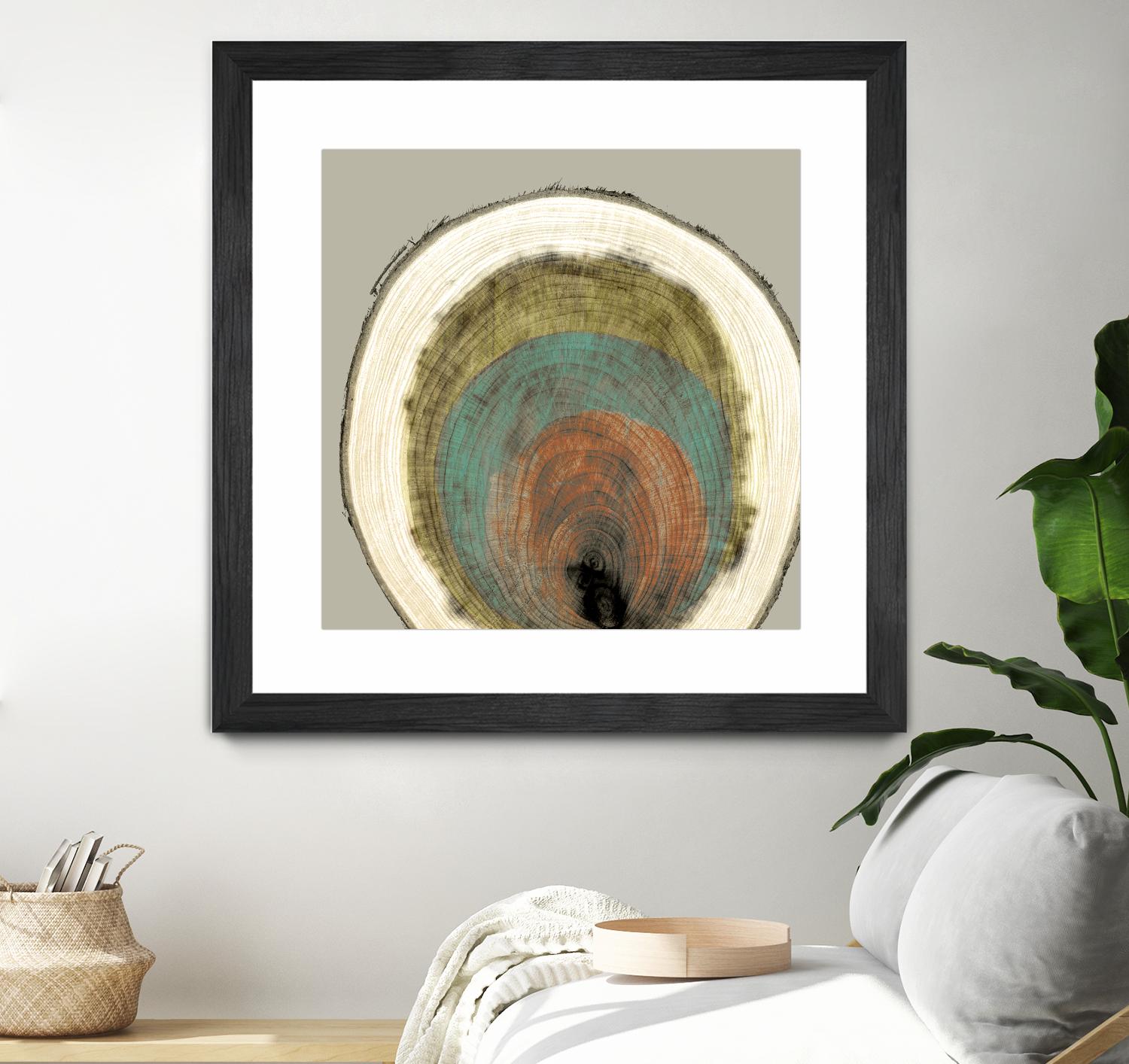 Colored Rings I by Studio W on GIANT ART - brown abstract