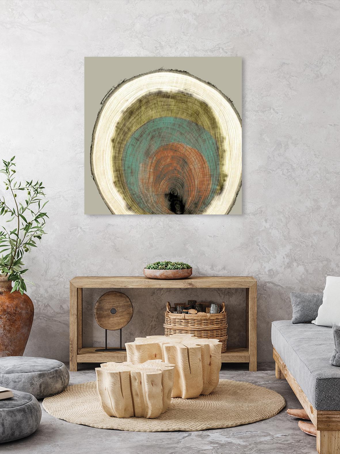 Colored Rings I by Studio W on GIANT ART - brown abstract
