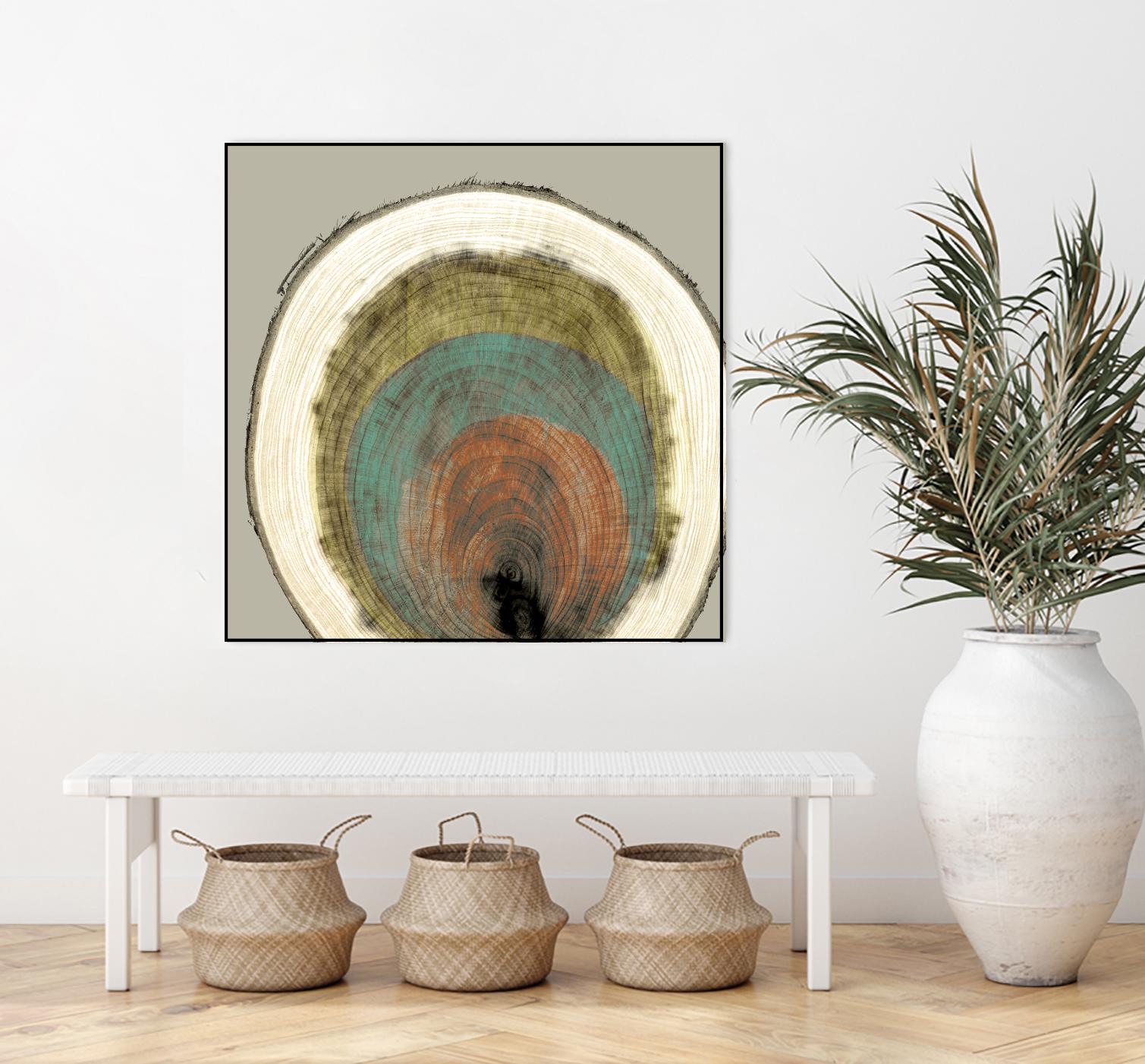 Colored Rings I by Studio W on GIANT ART - brown abstract
