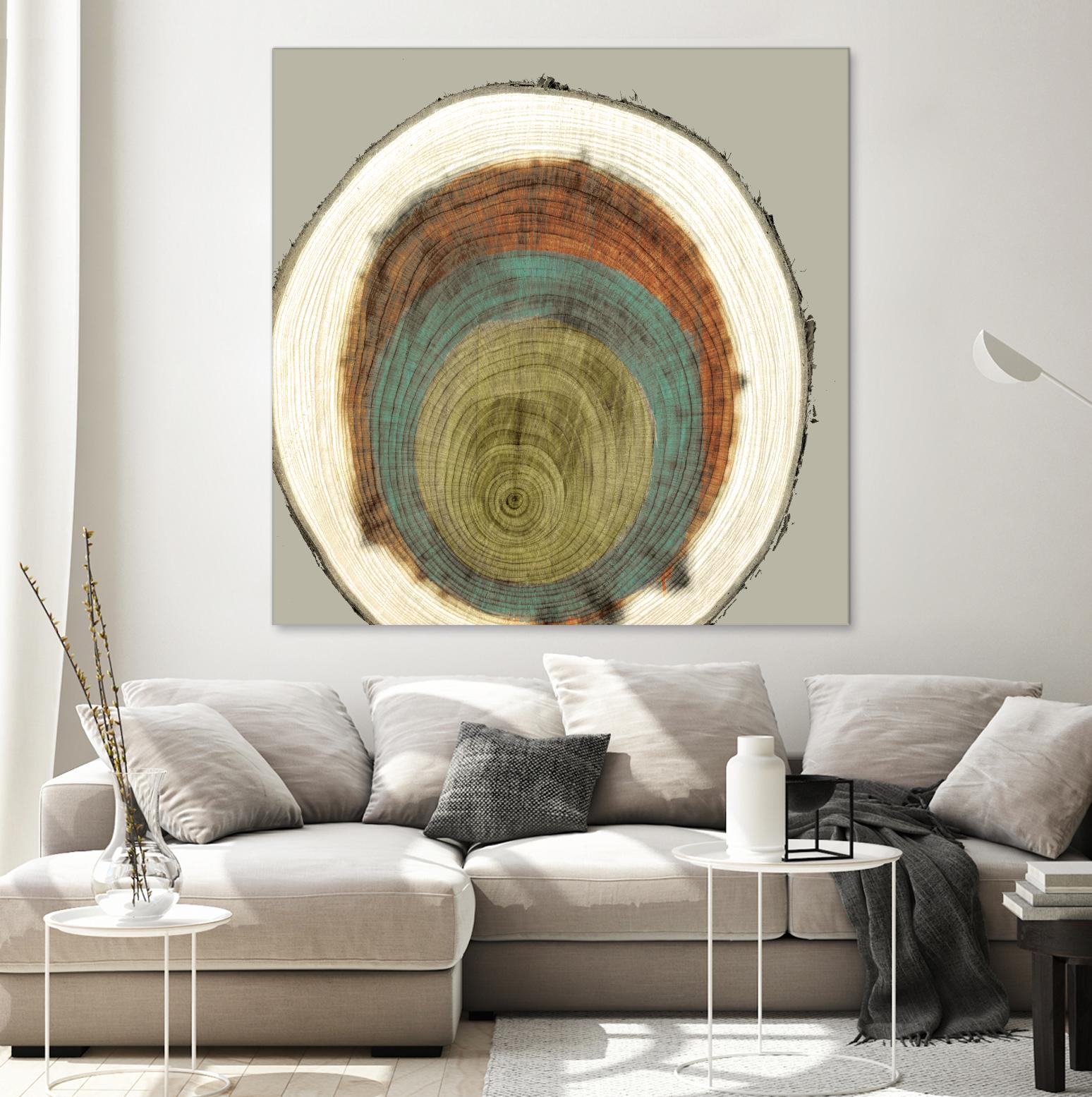 Colored Rings II by Studio W on GIANT ART - brown abstract