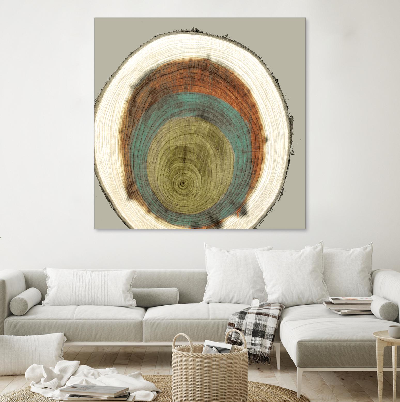 Colored Rings II by Studio W on GIANT ART - brown abstract
