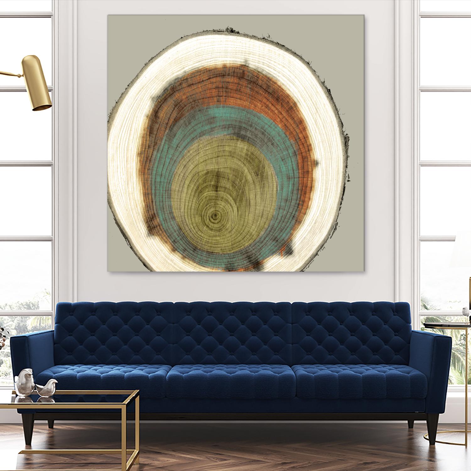 Colored Rings II by Studio W on GIANT ART - brown abstract