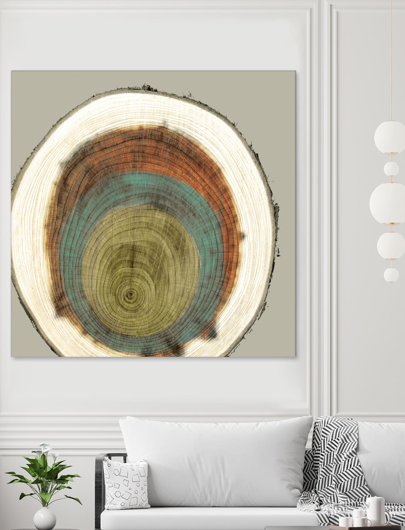 Colored Rings II by Studio W on GIANT ART - brown abstract