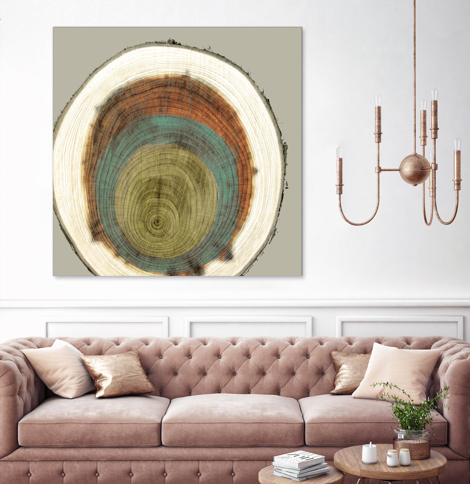 Colored Rings II by Studio W on GIANT ART - brown abstract