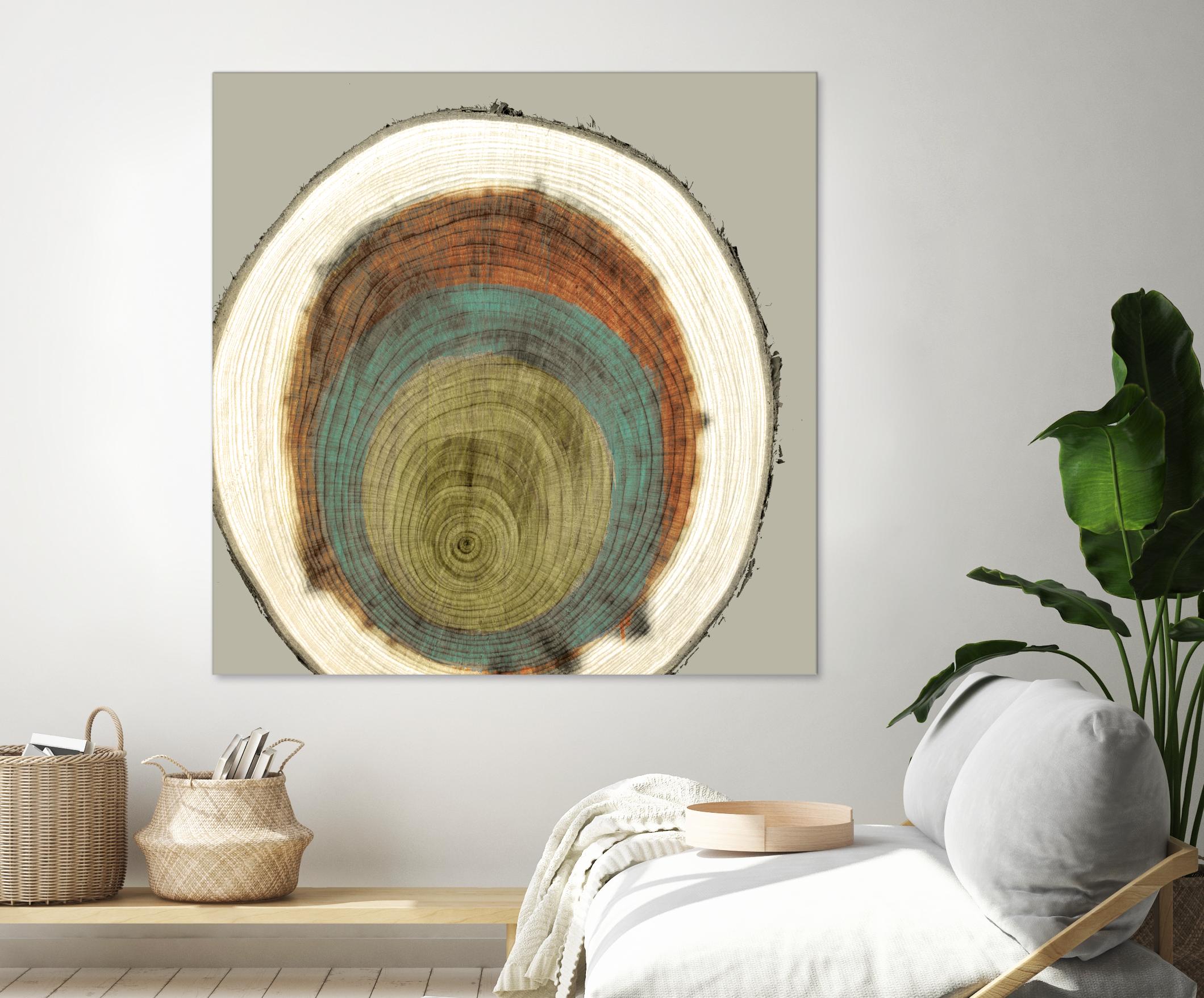 Colored Rings II by Studio W on GIANT ART - brown abstract