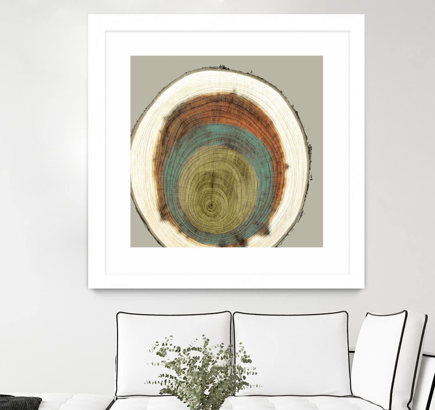 Colored Rings II by Studio W on GIANT ART - brown abstract