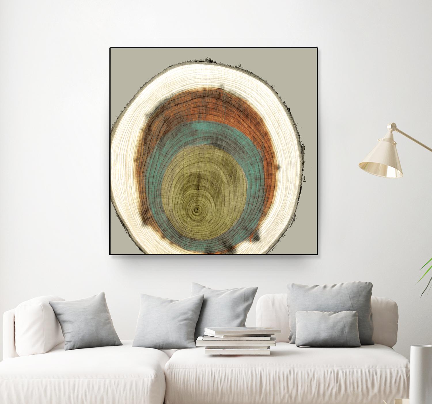 Colored Rings II by Studio W on GIANT ART - brown abstract