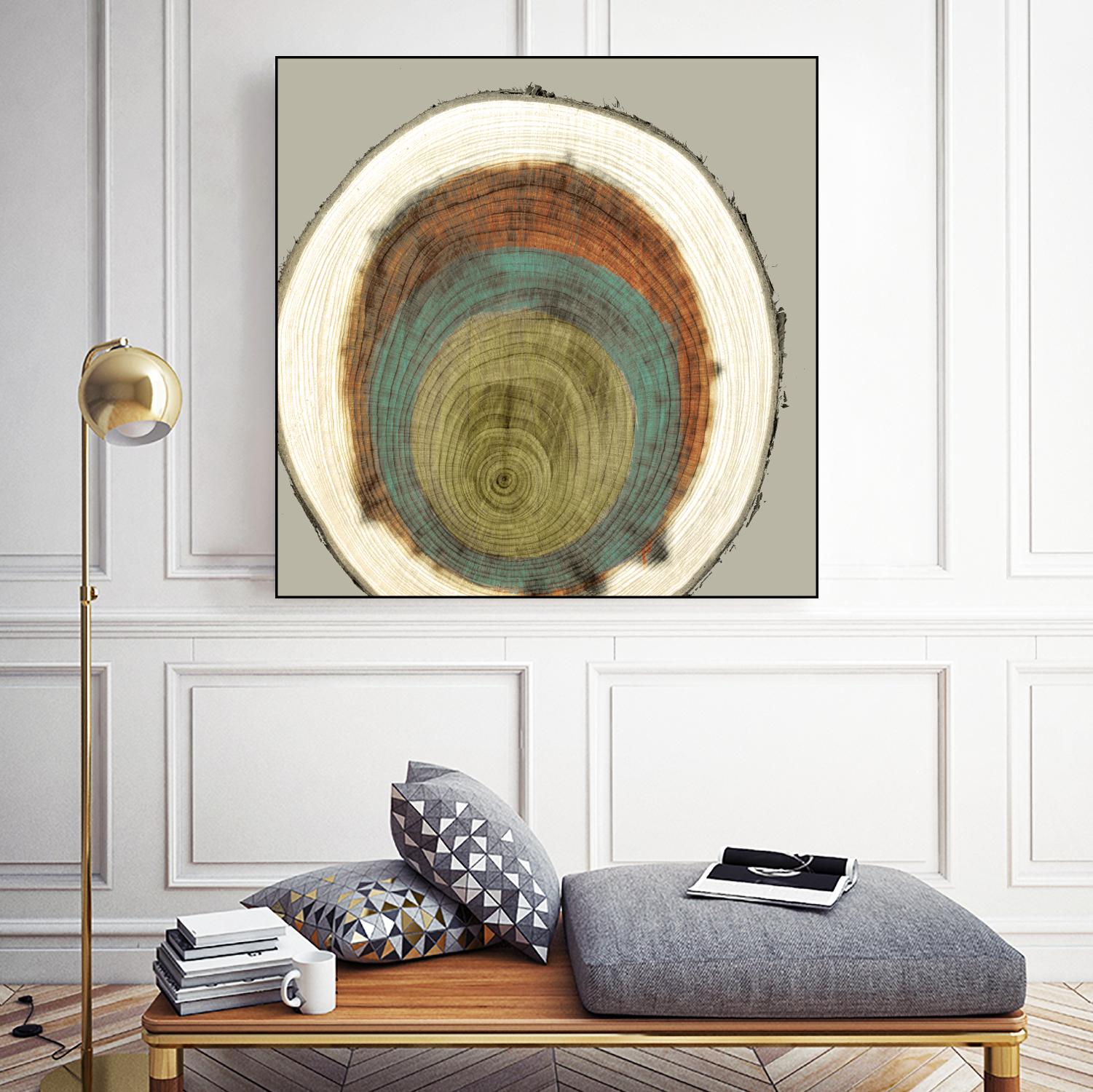 Colored Rings II by Studio W on GIANT ART - brown abstract