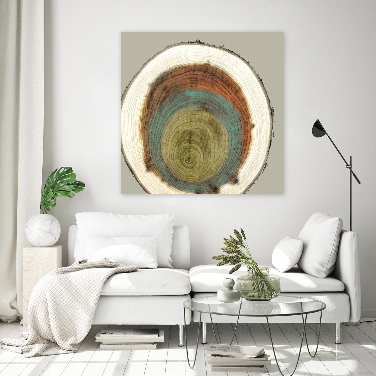 Colored Rings II by Studio W on GIANT ART - brown abstract