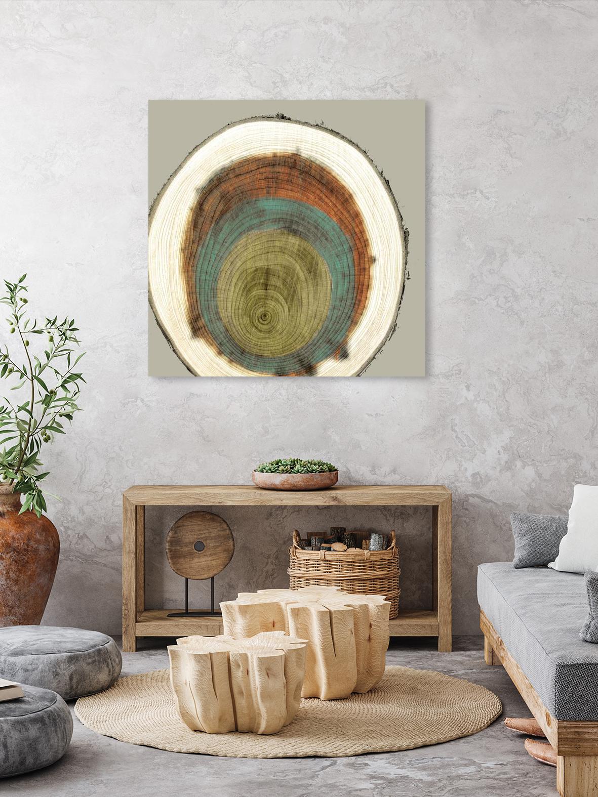 Colored Rings II by Studio W on GIANT ART - brown abstract