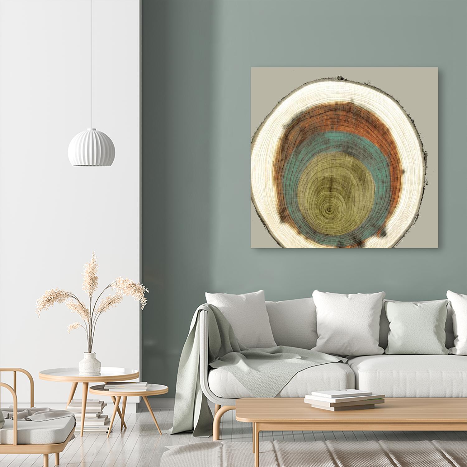 Colored Rings II by Studio W on GIANT ART - brown abstract