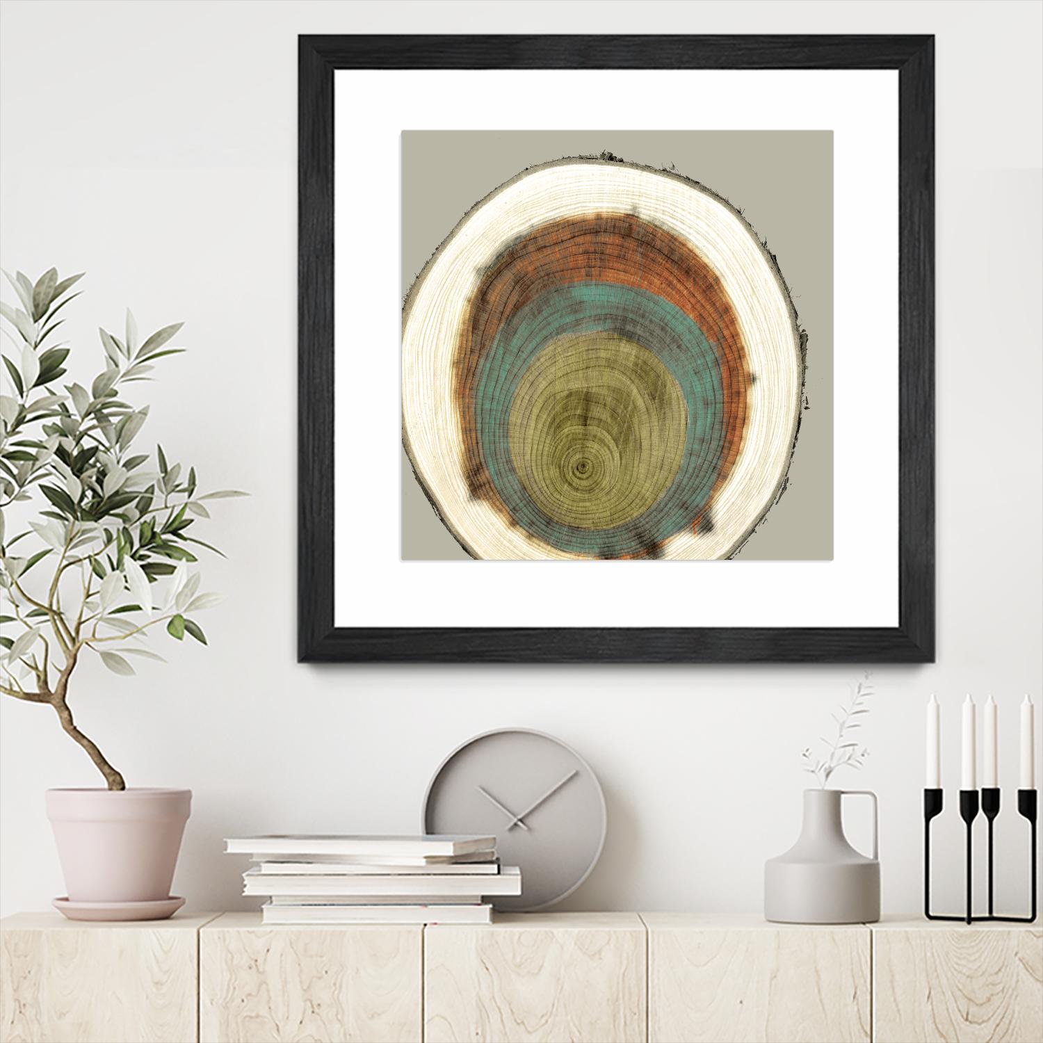 Colored Rings II by Studio W on GIANT ART - brown abstract