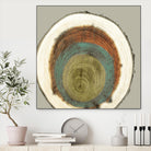 Colored Rings II by Studio W on GIANT ART - brown abstract