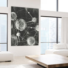 Molecular Fusion I by Ethan Harper on GIANT ART - black abstract