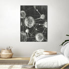 Molecular Fusion I by Ethan Harper on GIANT ART - black abstract