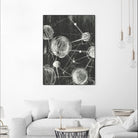 Molecular Fusion I by Ethan Harper on GIANT ART - black abstract