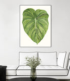 Tropical Breeze Leaves II by Naomi McCavitt on GIANT ART - green coastal & tropical leaves