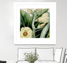 Cropped Turpin Tropicals III by Vision Studio on GIANT ART - botanical & floral