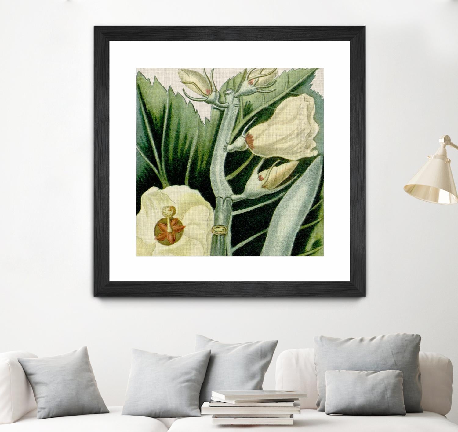 Cropped Turpin Tropicals III by Vision Studio on GIANT ART - botanical & floral