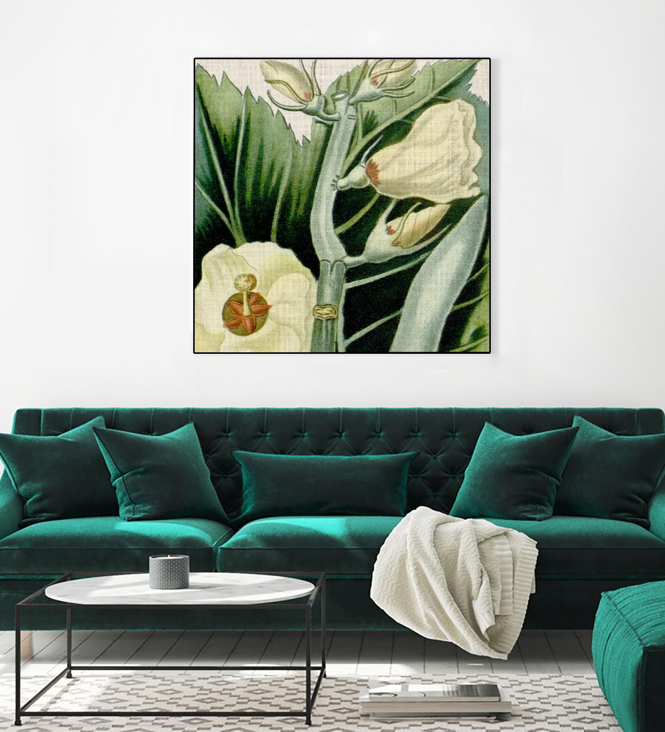 Cropped Turpin Tropicals III by Vision Studio on GIANT ART - botanical & floral