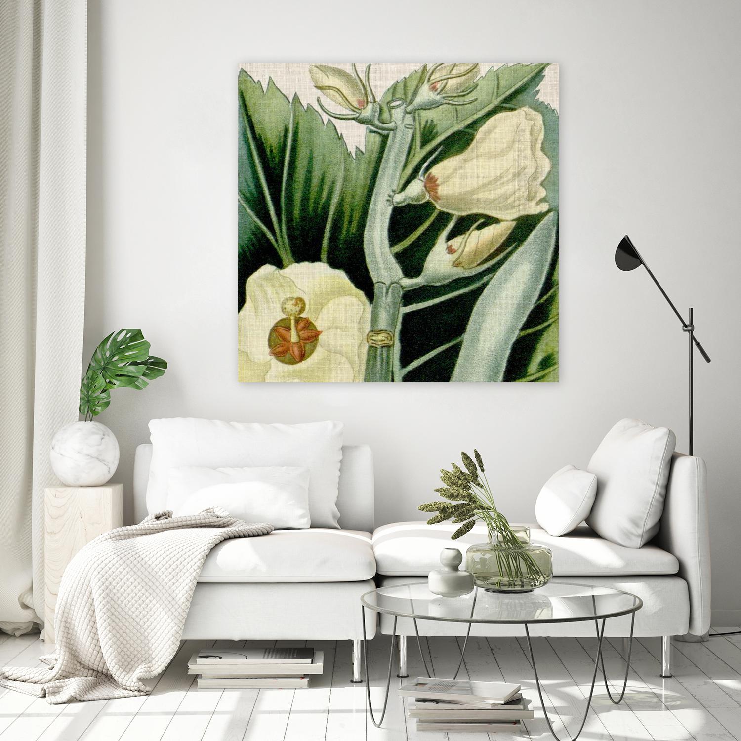 Cropped Turpin Tropicals III by Vision Studio on GIANT ART - botanical & floral