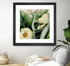 Cropped Turpin Tropicals III by Vision Studio on GIANT ART - botanical & floral