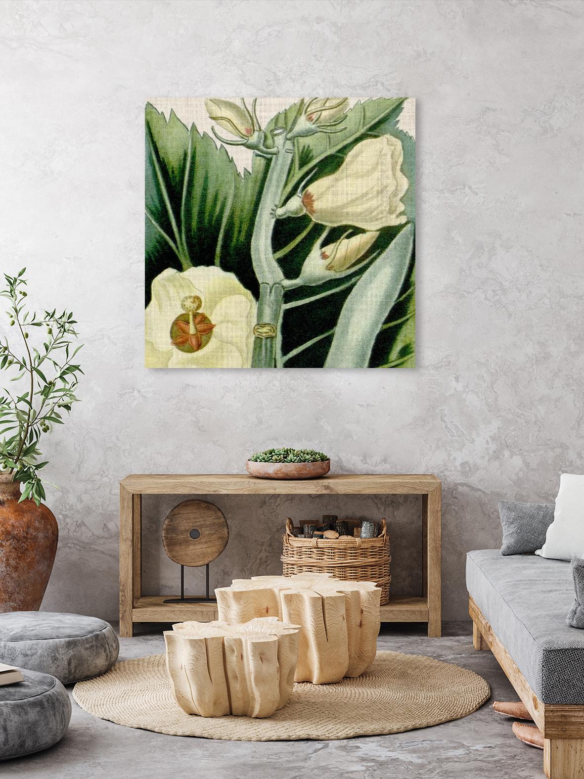 Cropped Turpin Tropicals III by Vision Studio on GIANT ART - botanical & floral