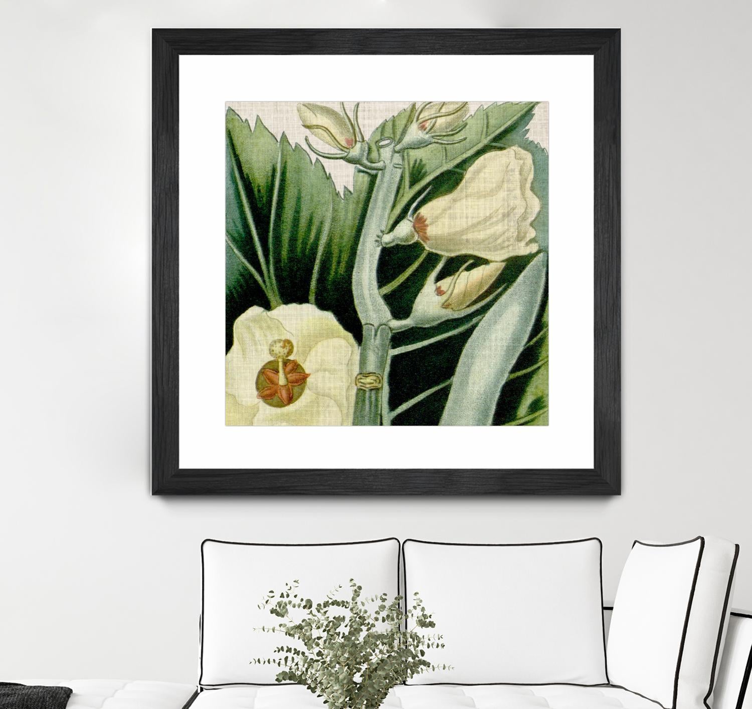 Cropped Turpin Tropicals III by Vision Studio on GIANT ART - botanical & floral