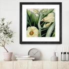 Cropped Turpin Tropicals III by Vision Studio on GIANT ART - botanical & floral
