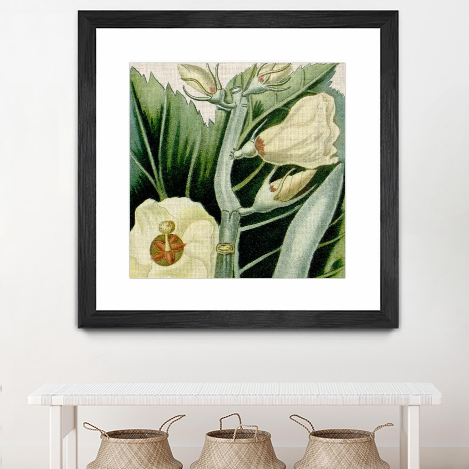 Cropped Turpin Tropicals III by Vision Studio on GIANT ART - botanical & floral