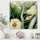 Cropped Turpin Tropicals III by Vision Studio on GIANT ART - botanical & floral
