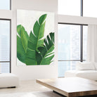 Pura Vida II by Grace Popp on GIANT ART - green coastal & tropical nature